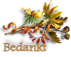 Trennlinie