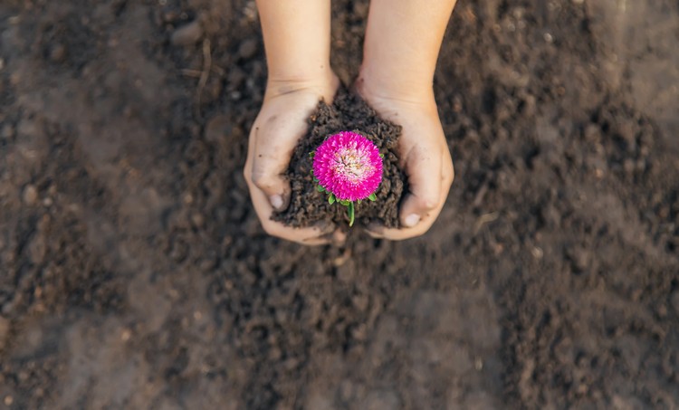 https://www.euroinnova.cl/blog/cuidado-del-medio-ambiente