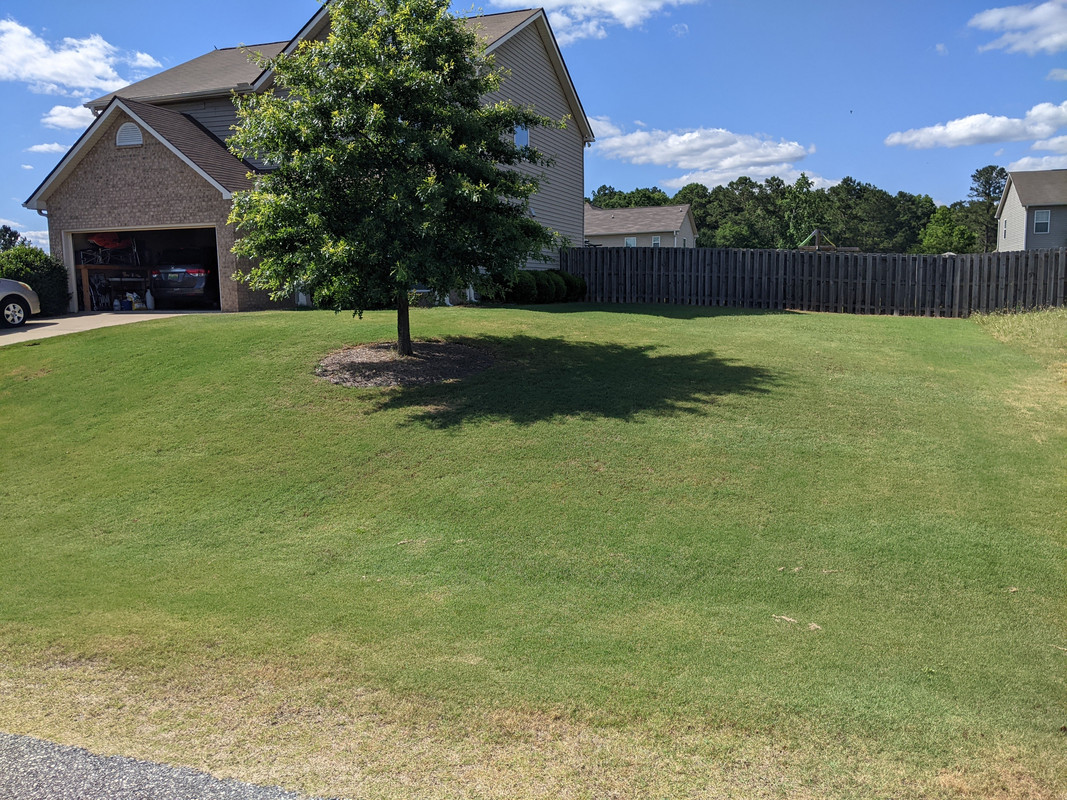 2021.05.30 front yard 1