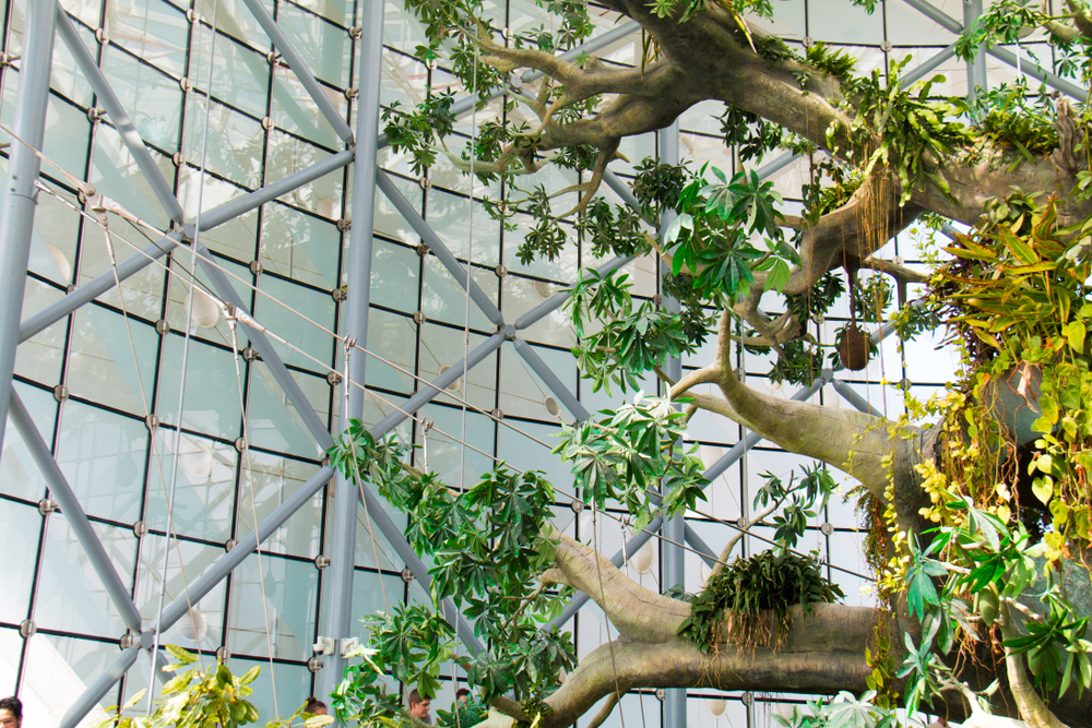 Green Dubai, Dubai How To Reach, Best Time & Tips