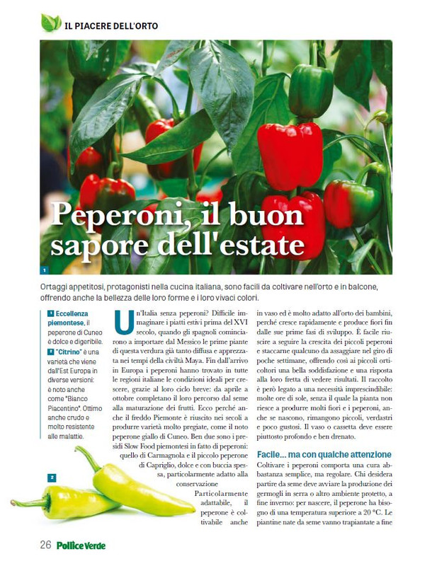 Pol Ver Lug 2025 (5)