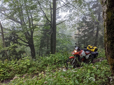 IMG_20200907_093354 - Kopie