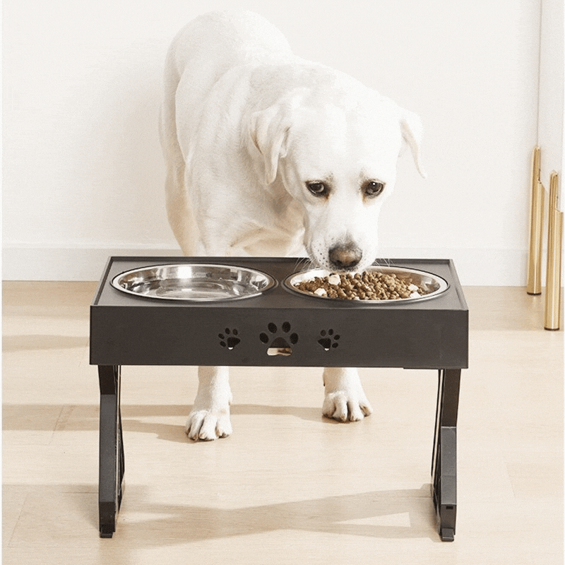Elevated Food Table and Bowls – BouBoo Dog