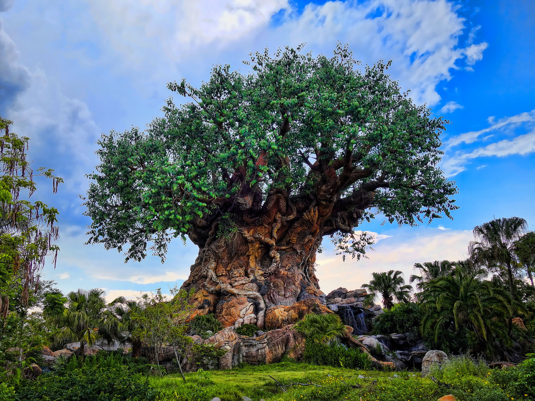 Disney_Animal_Kingdom_(27589660700)