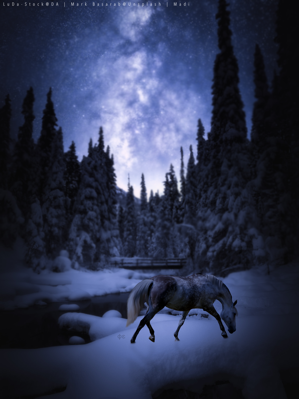 F3DE8810-0FF4-4073-85F1-644B43DCF010