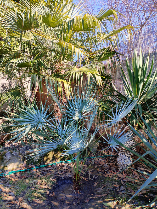 IMG 20260309 151323 edit 844003573503869