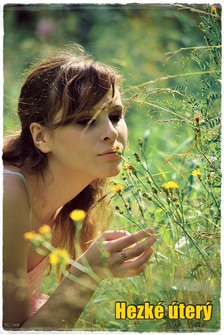 woman-smelling-flowers-4604084-960-720.jpg