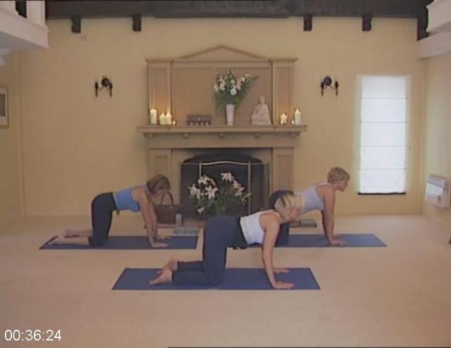 [Image: G-PJoy-Nielen-Groen-Yoga-For-Beginners.jpg]
