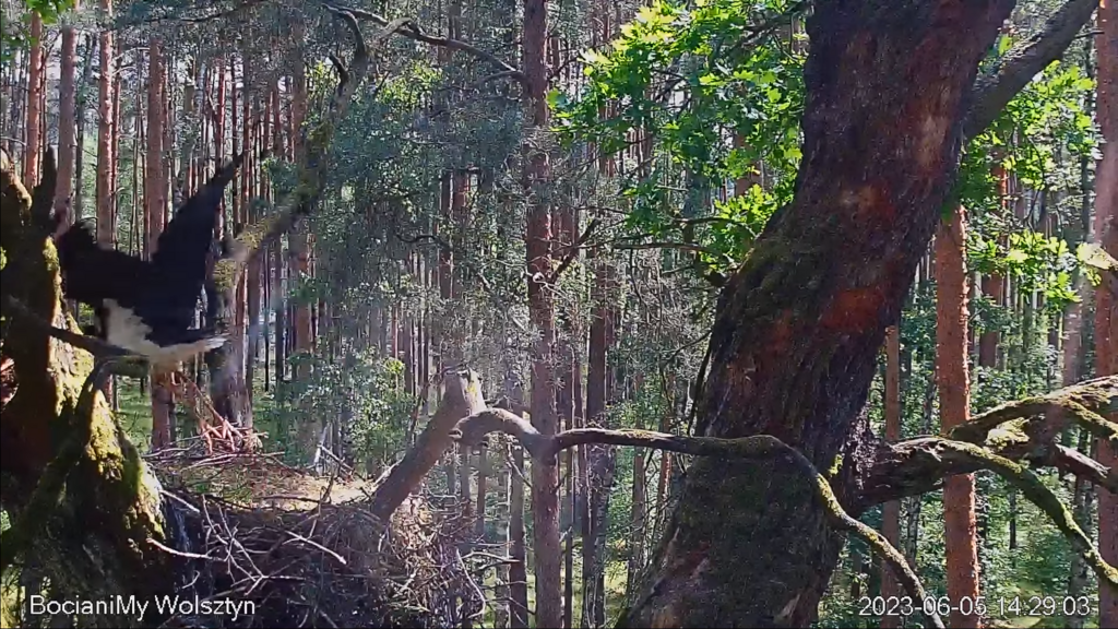 Zrzut ekranu (17263)