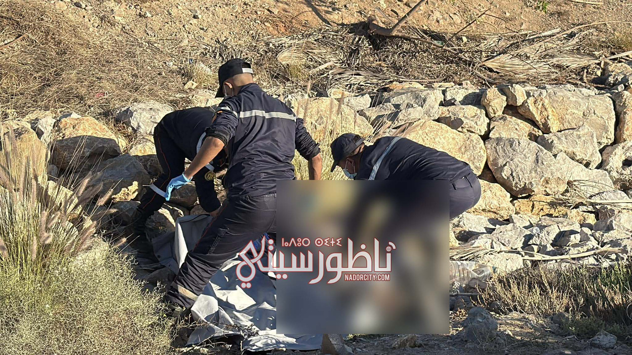 589803262-1328892218985051-9000920567153273299-n