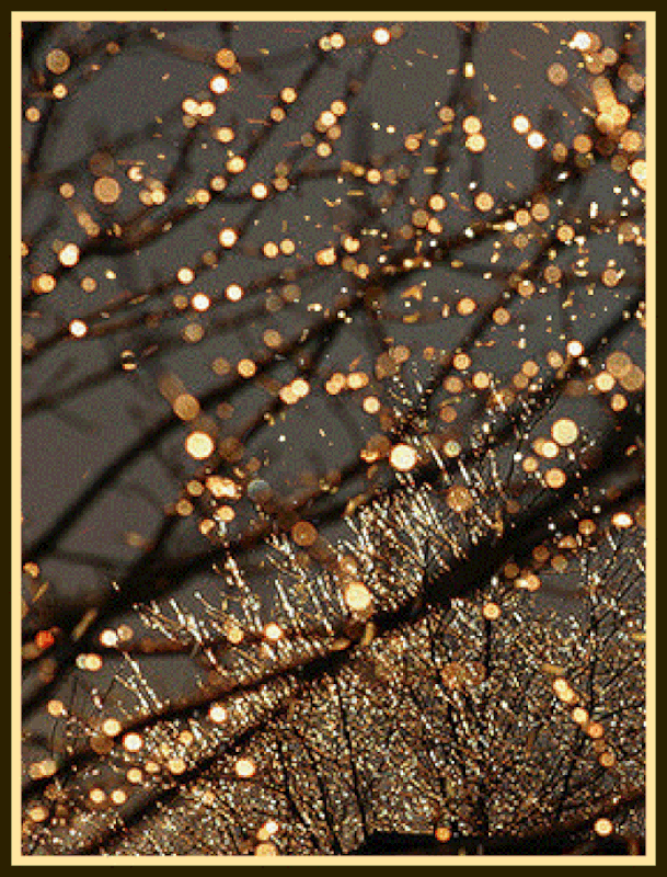 99BA5B35-F715-464C-90B7-31FEA69F4314