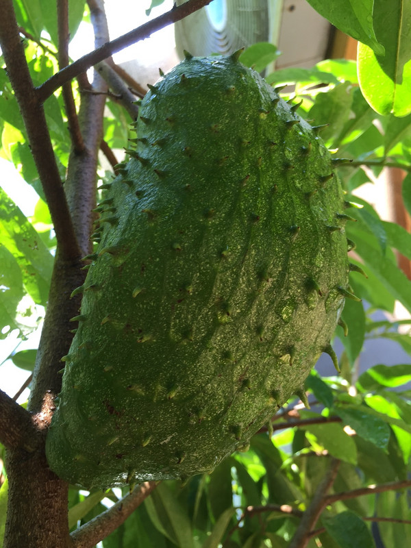 IMG_6132