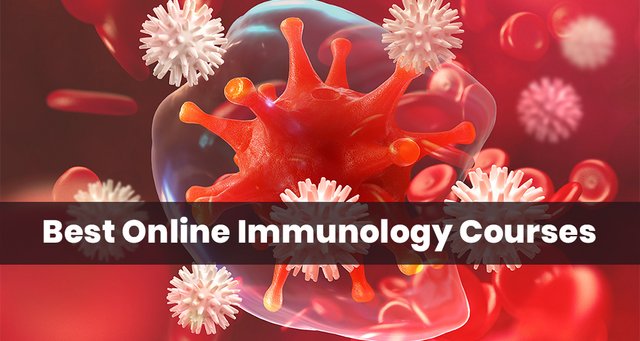 Boost your immune systeme - Course with certification