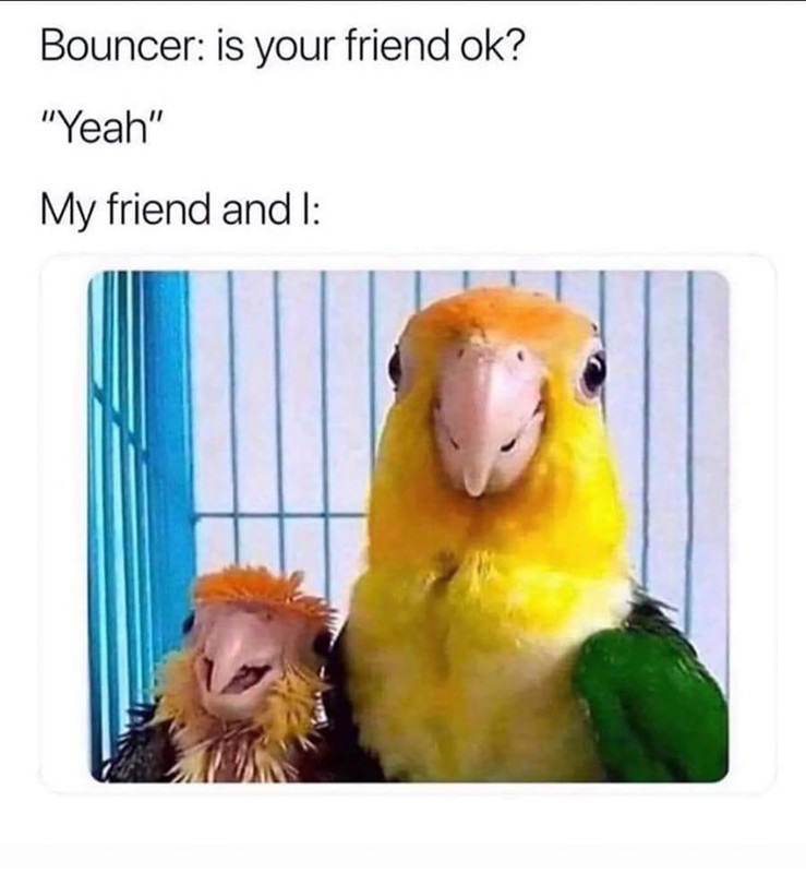 87429860.jpg