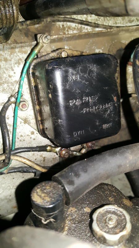 25435400_541952086164566_764105787_o