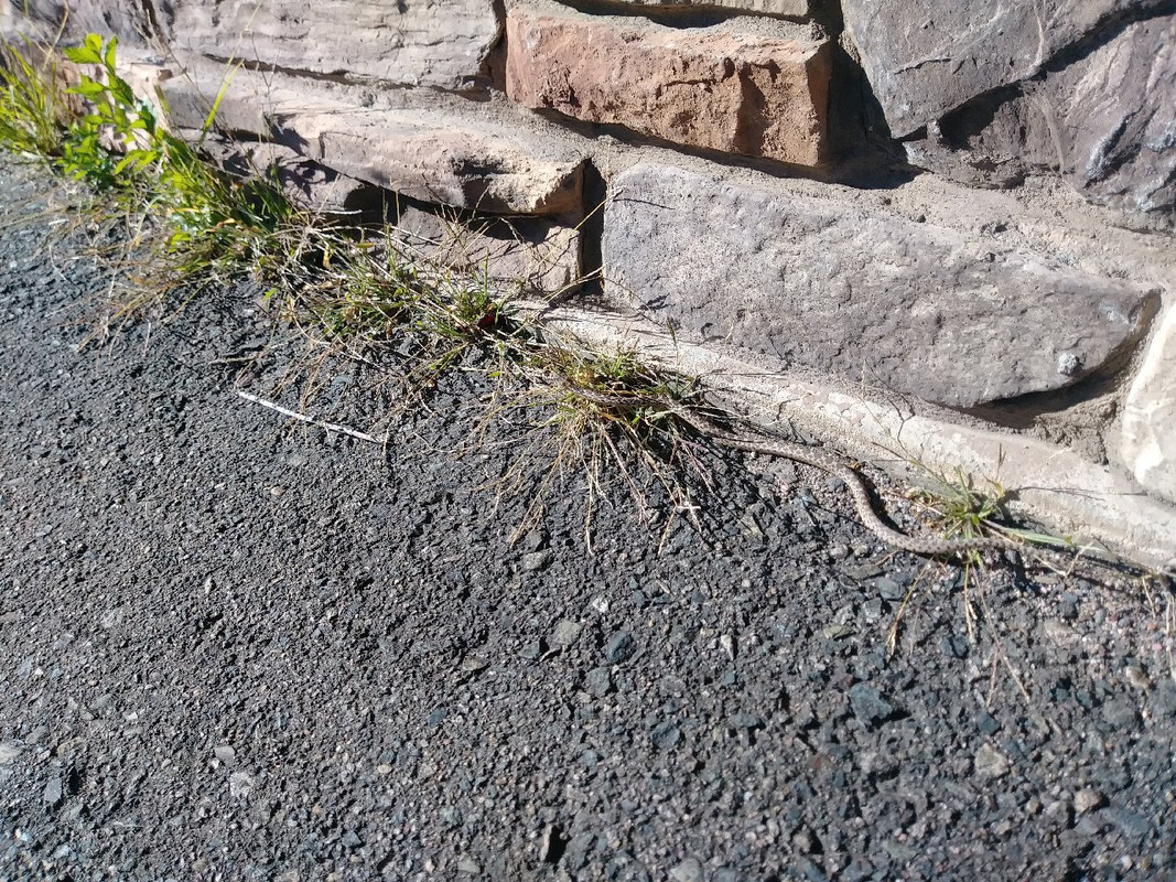 20170920_155255