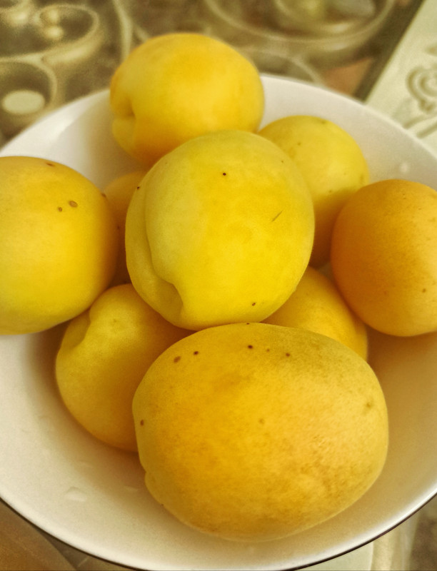 IMG_20250706_215329_DRO