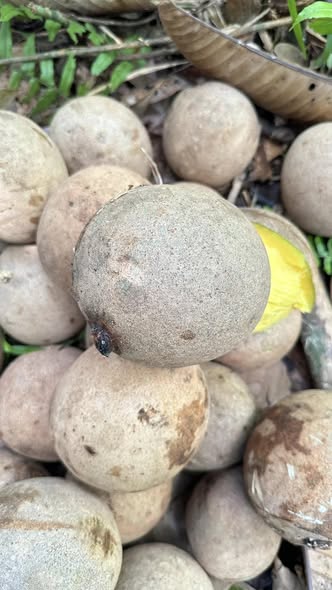 484503674 1124362429489026 6874519926144933176 n