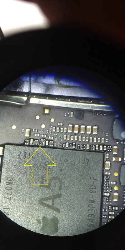 117145232_330999898083573_2058202628447058058_n