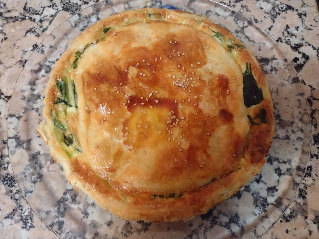 IMG_20230324_200849759