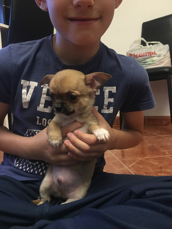 A3C9295D-5E53-436C-8F68-5AEC31E4B5E6