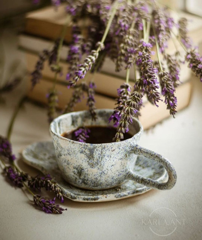 Screenshot_20231210_164459_Instagram