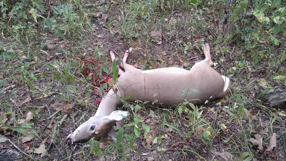 B3DF8F0C-13D4-4260-8C6E-91F94BE66290