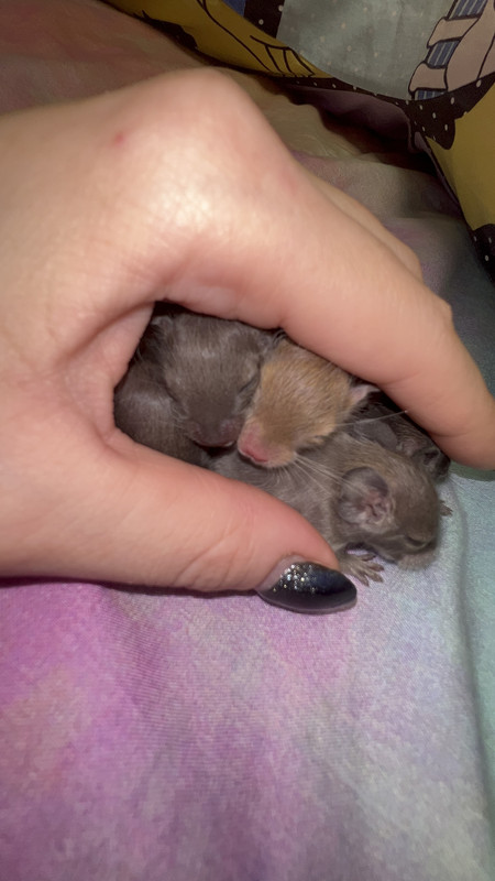 E37B903B-0290-4381-BFF0-C123E40EB247