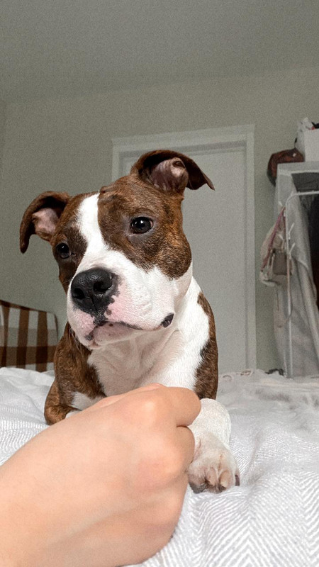 81BFB92C-F47F-4BD8-9FBF-B5519A6A3CE6