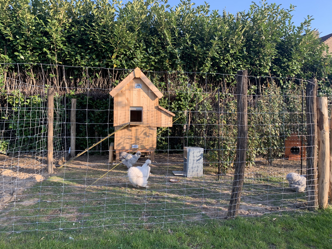 68AD7929-8E74-47D5-9825-472C74145BB1