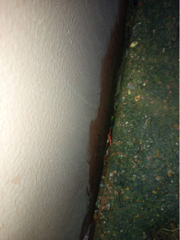IMG 20251110 154838