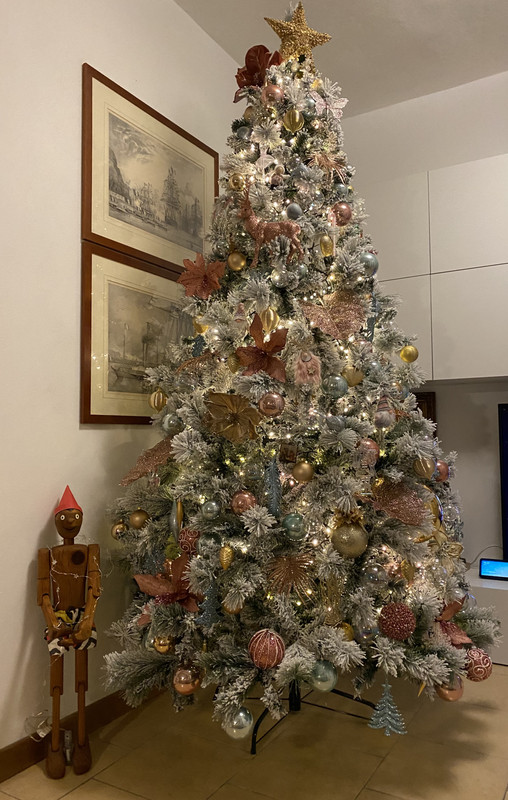 E85EE0E2-1A6F-4193-9512-47F24796E2F7