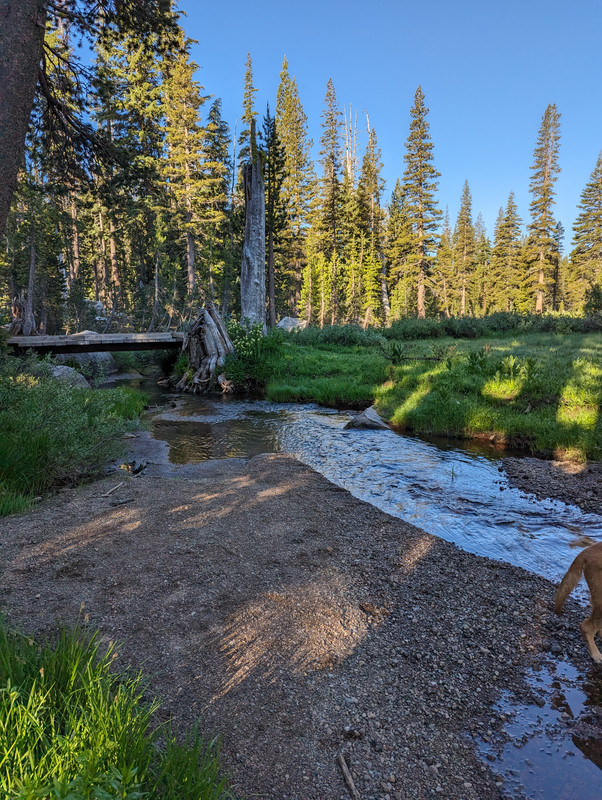 PXL_20250710_145147600