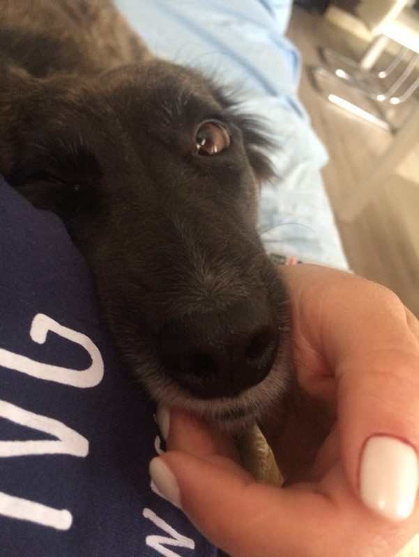 391E10DC-ABDC-4013-8C00-42B123FA02EA