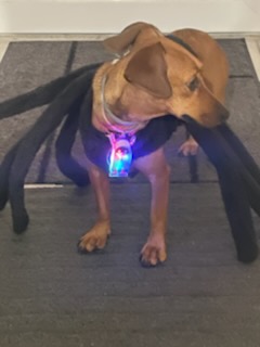 [Image: IMG-0357.jpg]