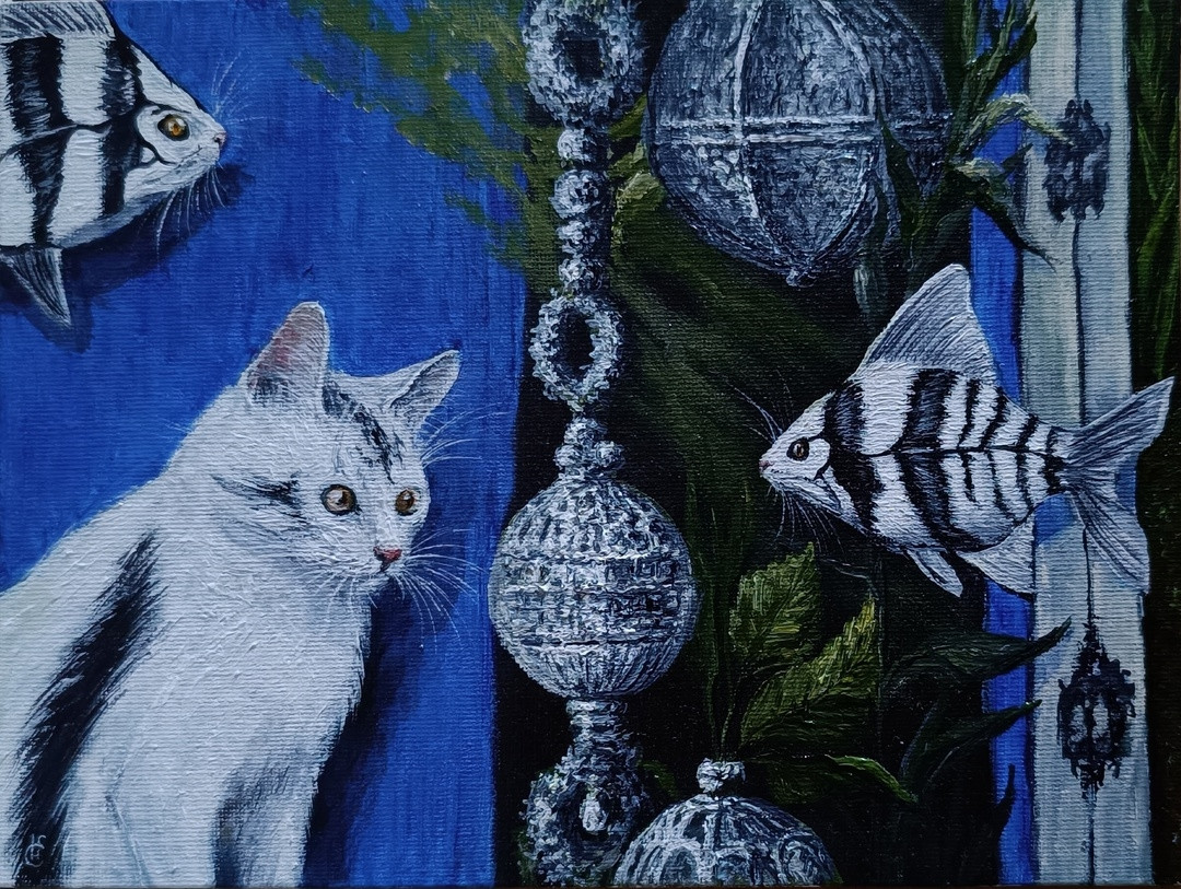 23