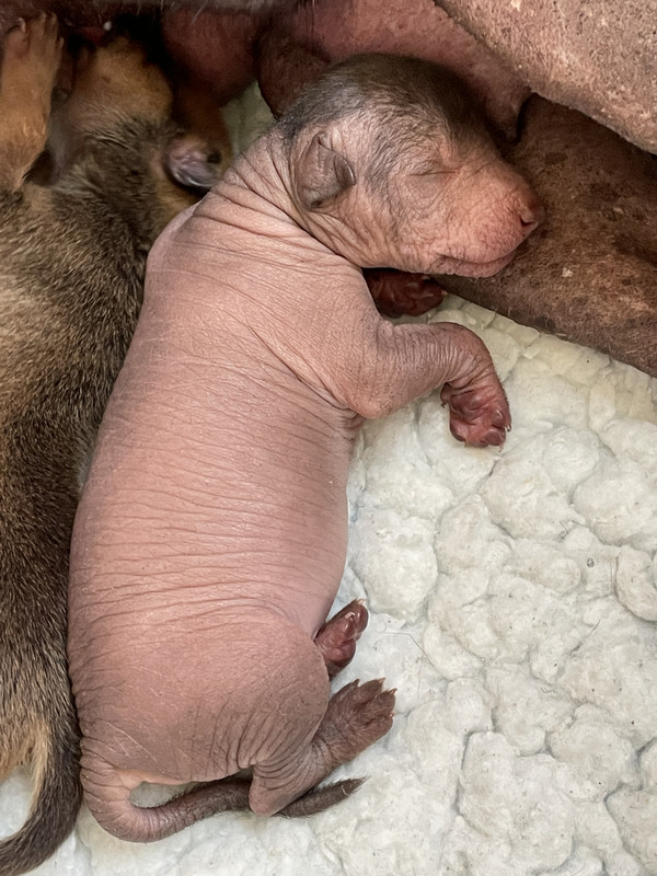 AE2D9FA5-8BDB-421B-8E39-9B0A947CA9EA