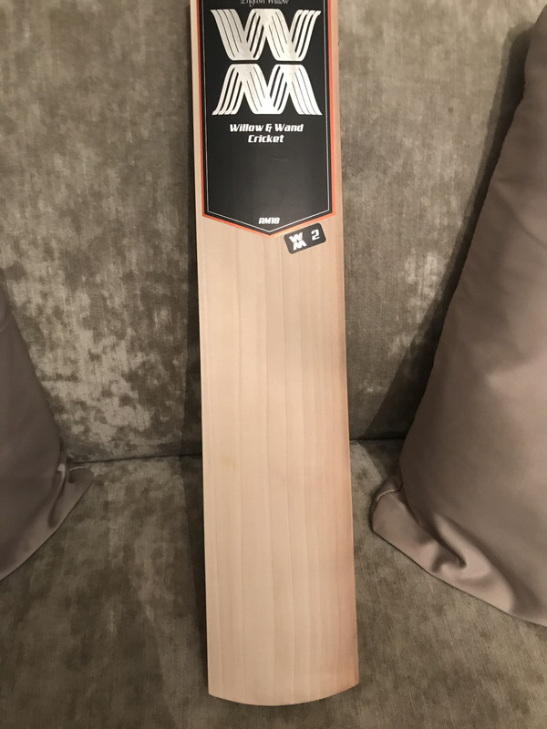 3CBE5A41-855C-4F17-8322-FE1D85586DD4