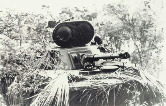 indonesian-invasion-1-tgy-dd-PT-76-hk-ja.jpg