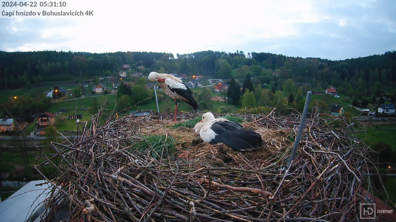 Živě z čapího komína firmy KARA v Bohuslavicích u Trutnova 2-55-13 screenshot