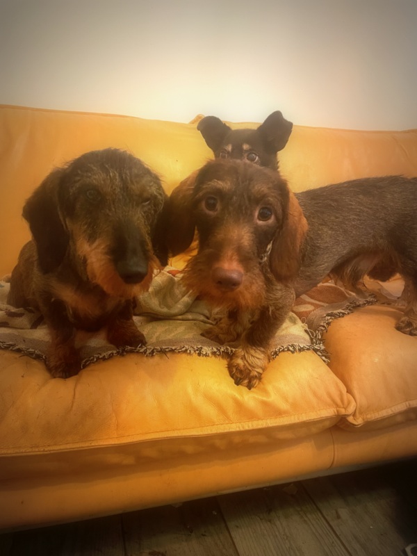 [Image: IMG-2081.jpg]