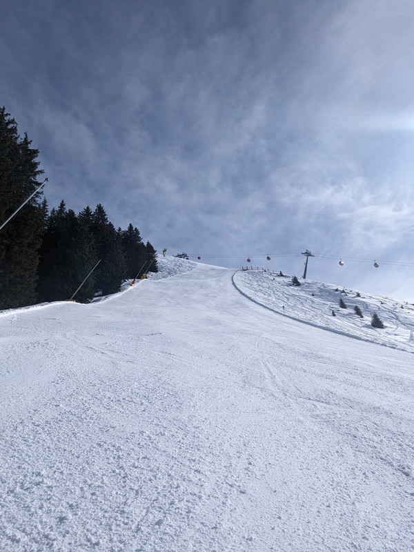 PXL_20240226_105625824