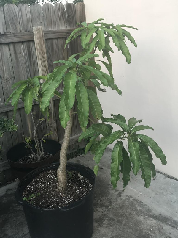 0B040511-177B-4DE1-B360-12427DC8B241