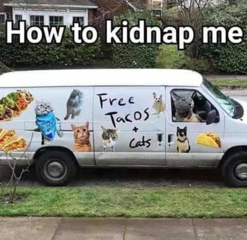 how-to-kidnap-me.jpg