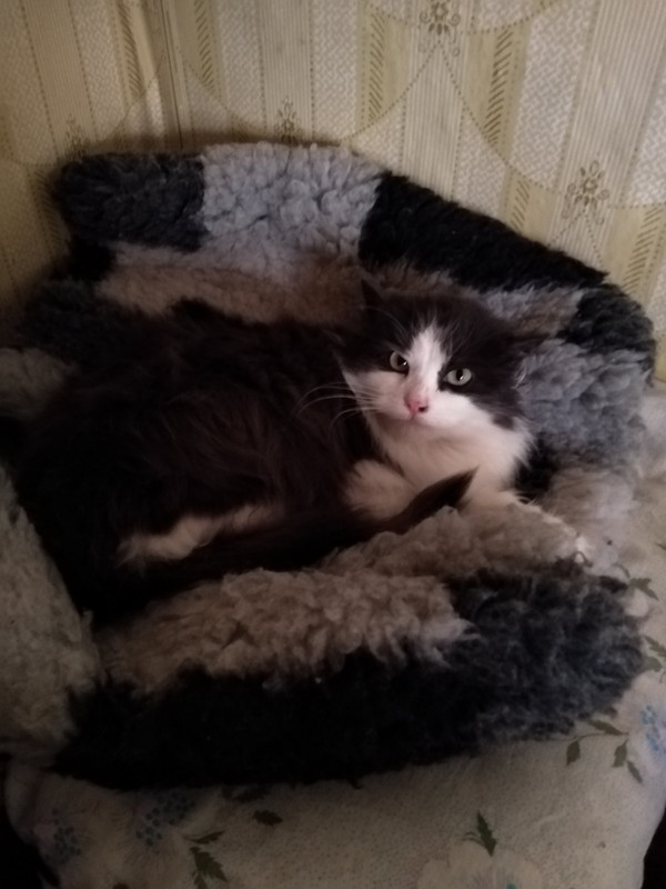 IMG-8d272edebb75575a09816de9b91b5490-V