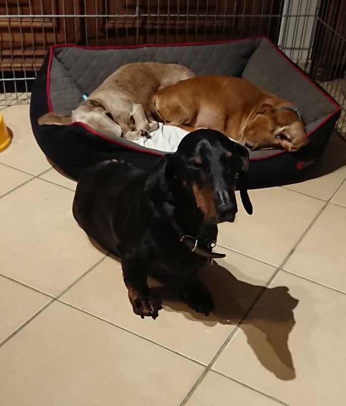 [Image: 20230208-182625.jpg]