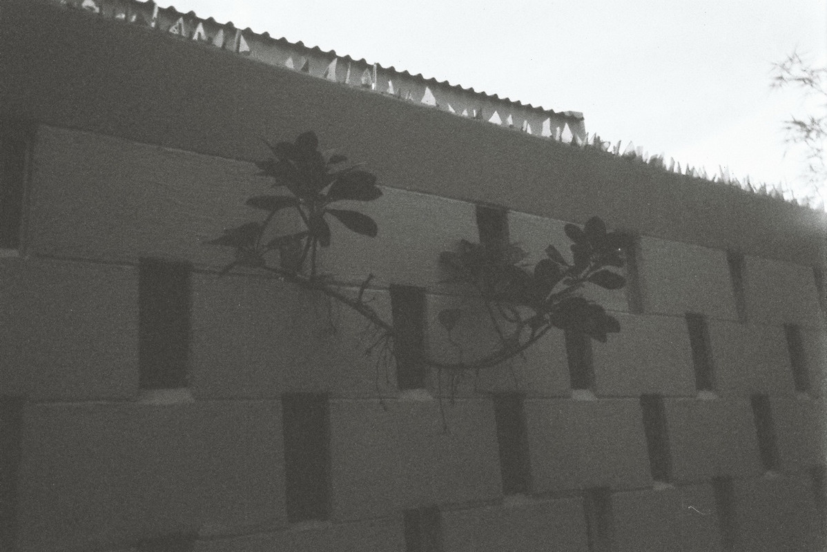 Retro400SHF_156_resize