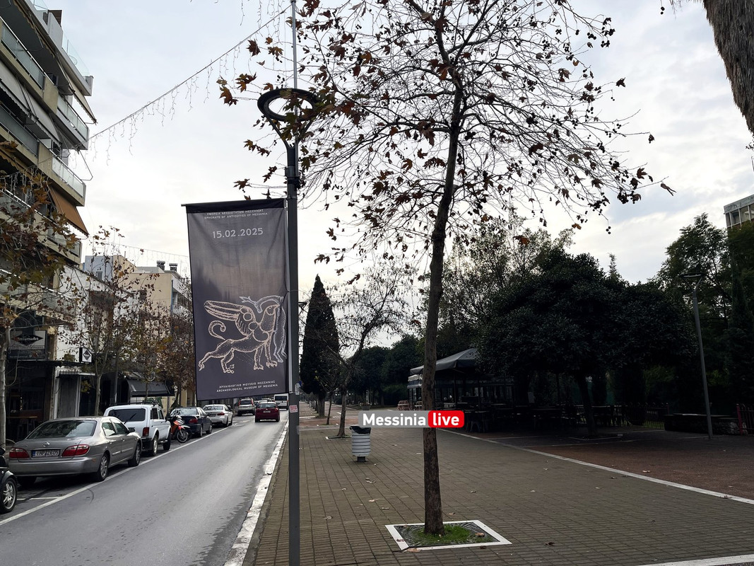 εκθεσηimage00006