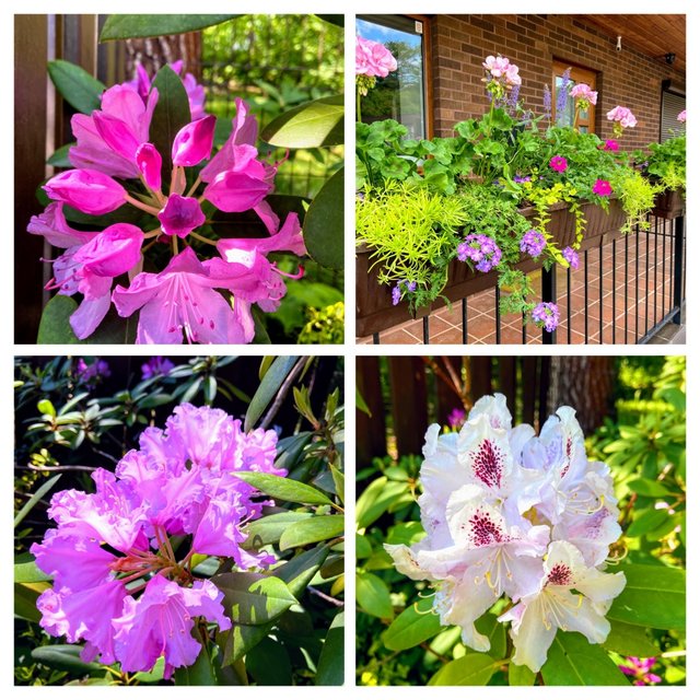 842-D9-E79-4-B3-F-4-DAA-85-E4-C8893-BA99