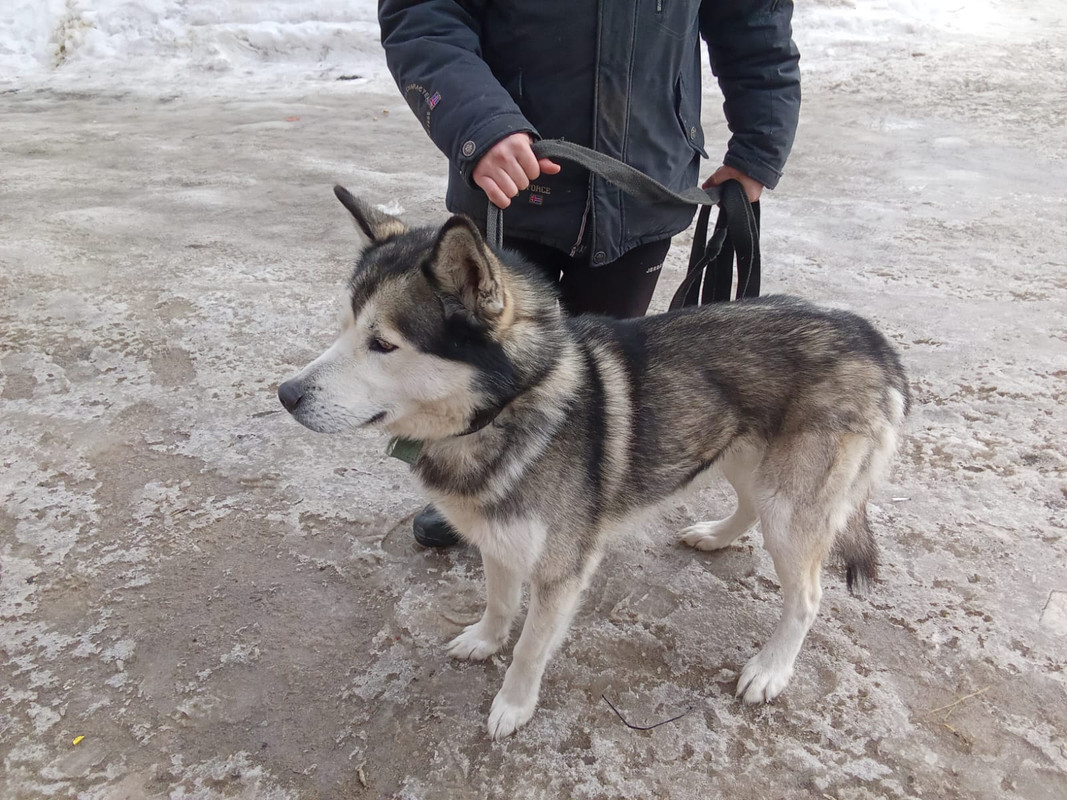 WhatsApp Image 2024-03-11 at 14.12.22 (1)